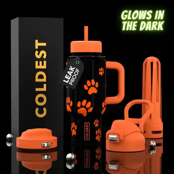 COLDEST Limitless Ultra v8 24oz Insulated Water Bottle