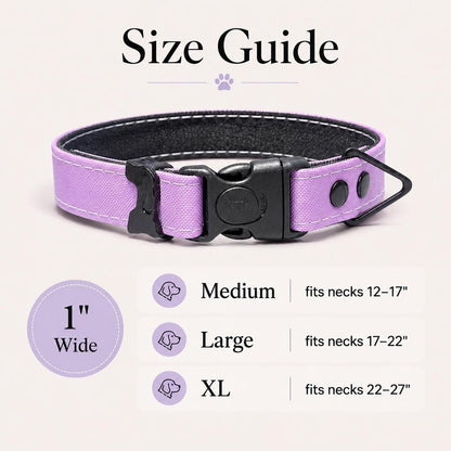 Waterproof AirTag Dog Collar with Built-In Holder
