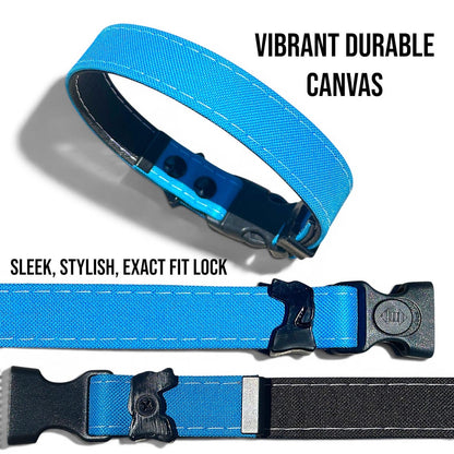 Waterproof AirTag Dog Collar with Built-In Holder