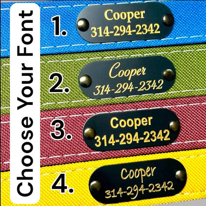 Waterproof AirTag Dog Collar with Built-In Holder