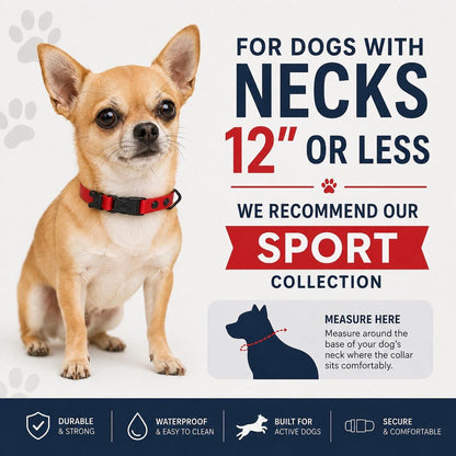 Waterproof AirTag Dog Collar with Built-In Holder
